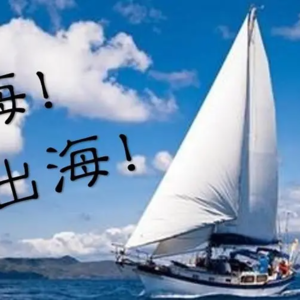 语商之学者访谈-31 牛老师返场谈中国企业出海新阶段