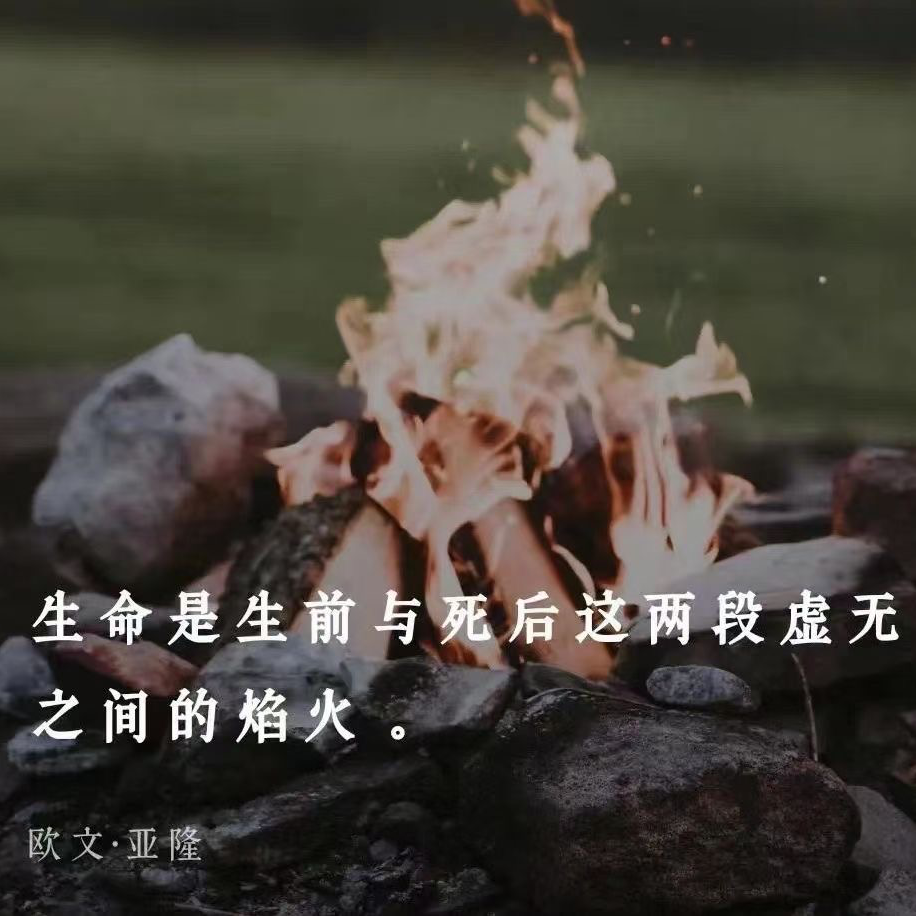 Vol.42 【老去】与岁月言和的另一种叙事 episode artwork