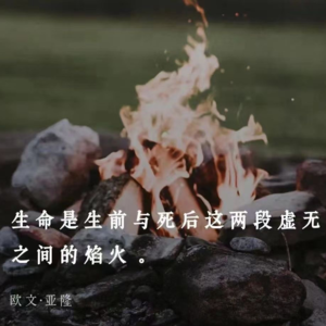 Vol.42 【老去】与岁月言和的另一种叙事