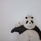 黑猫爱吃野生酸菜鱼