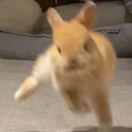 fufunfun