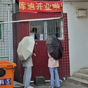 【量大管饱】关于季后赛胜场的蛇行选秀