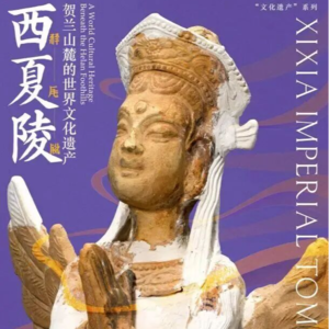 中国大运河博物馆“西夏陵：贺兰山麓的世界文化遗产”特展（中）
