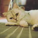 Eve_OhQj