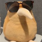 土拨鼠批发零售