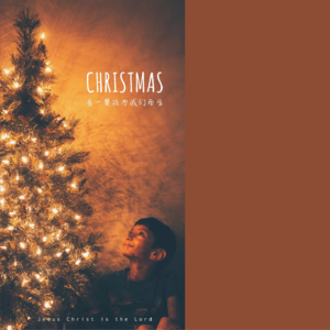 vol.35 圣诞快乐 愿你有相聚