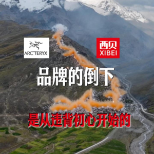 品牌的倒下，是从违背初心开始的，品牌价值主张是核心用户买你的理由，不是logo