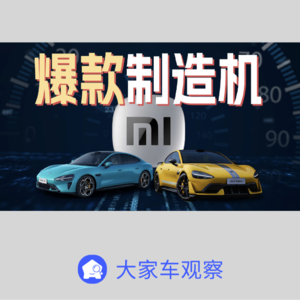 车观察 - 小米，爆款制造机