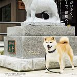君仪儿
