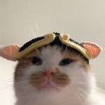 小泽马里亚纳西族