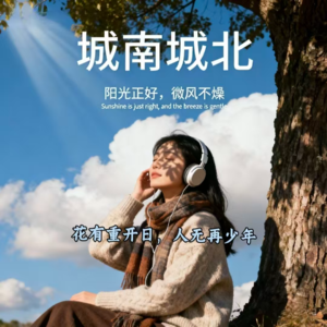 城南城北：NO.260009《花有重开日，人无再少年》