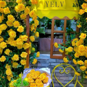 VOL217.触底反弹，绝境处重生：随时处于变动，我又要搬家了。