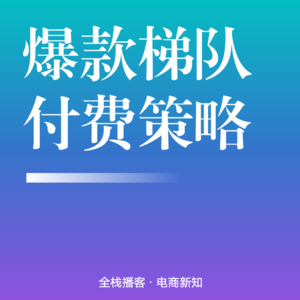 Vol.100 | 标品类目爆款梯队付费矩阵：从流量精细化运营到转化效率突围