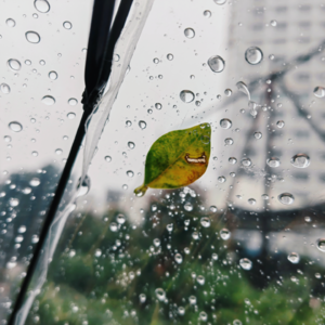  来吧! 我们一起盛夏晚晴天|橘子汽水开一瓶夏天的味道