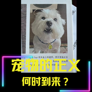 宠物的正义何时到来?——从北京西高地Papi案进入(深度版)