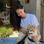 Molly鱼糕