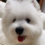 赚一个亿就退休