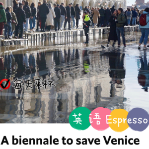 【62】拯救威尼斯