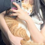 Tisacat