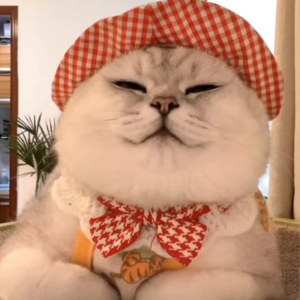 资本市场舆情解读【11月29日】