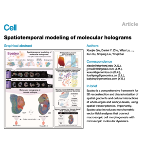 792-Spatiotemporal Modeling of Molecular Holograms