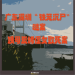 广东深圳“铁笼沉尸”谜案｜姨母炭烤侄女致死案