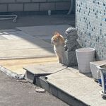 今天晚上看不到星星