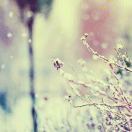 就刚刚看到开始讲故事