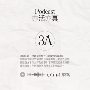 S03 关爱创伤 拥抱自我疗愈-A