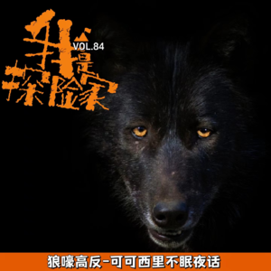 狼嚎可可西里高反不眠夜