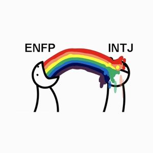 INTJ & ENFP攻略