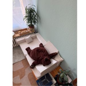 在德国搬家🦖从0到1做家具