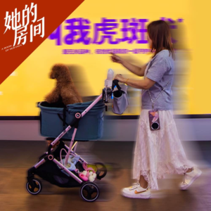 特别节目：被嫌弃的“土狗”的一生：从忠实伙伴到流浪弃儿｜串台日谈公园