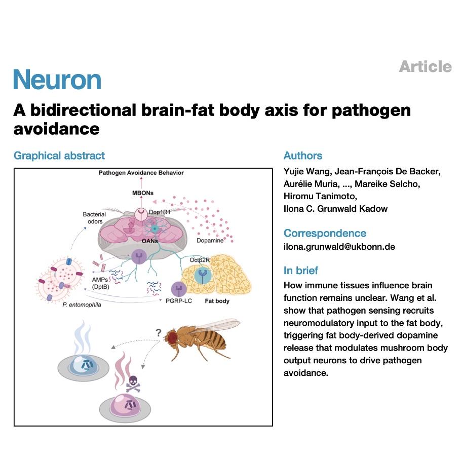 914-Bidirectional Brain-Fat Body Axis for Pathogen Avoidance episode artwork