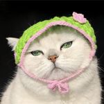 黑泽猪猪