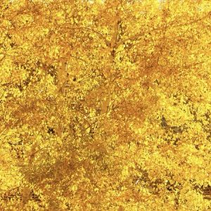 podcaster-avatar