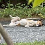 王任比恢复到醉假状态嗷