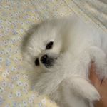 GinaWei