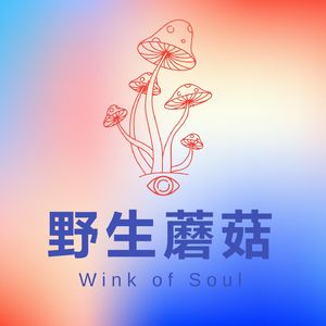 野生蘑菇WinkofSoul