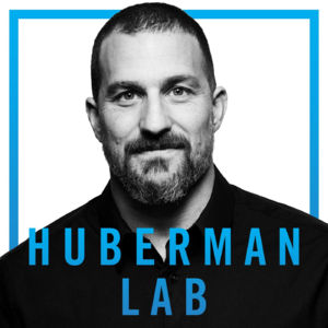 马克·布莱克特博士：如何提升你的情商【中文版Huberman Lab】