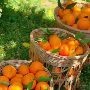 VOL135.改变心态只需一分钟，而这一分钟却能改变一整天。