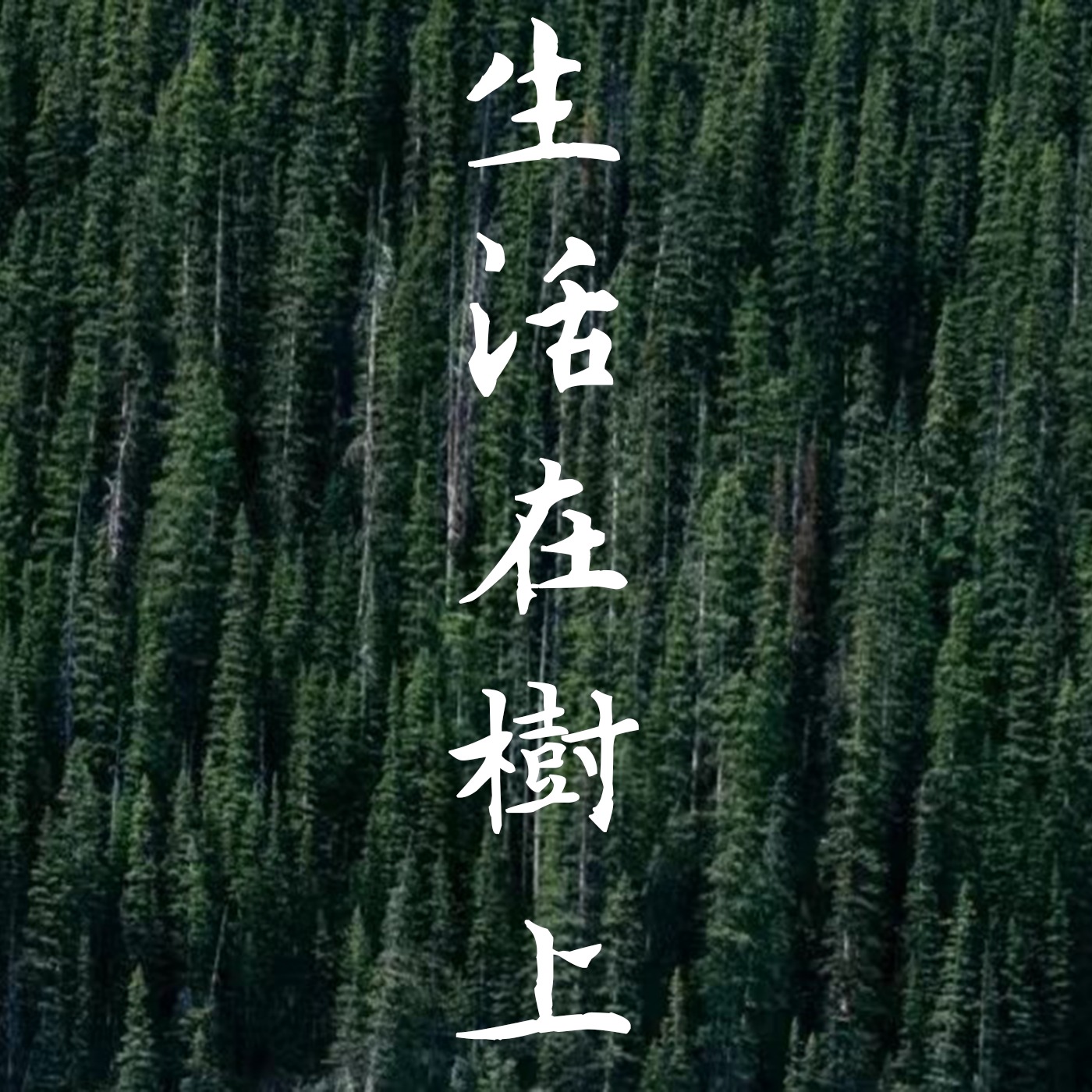 生活在树上