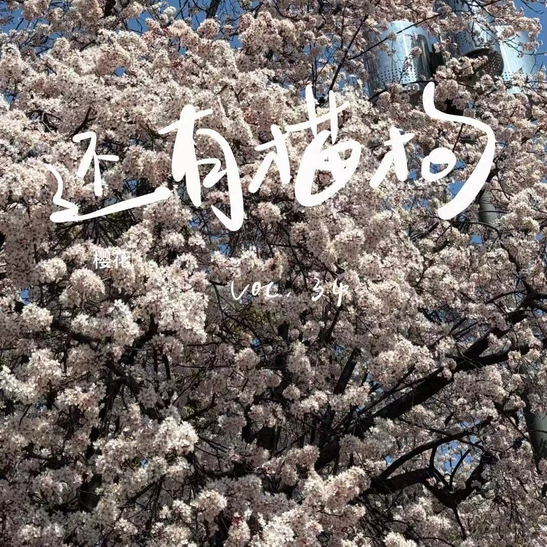 34 越是不起眼的小事，越要尽早去做，应做尽做 episode artwork