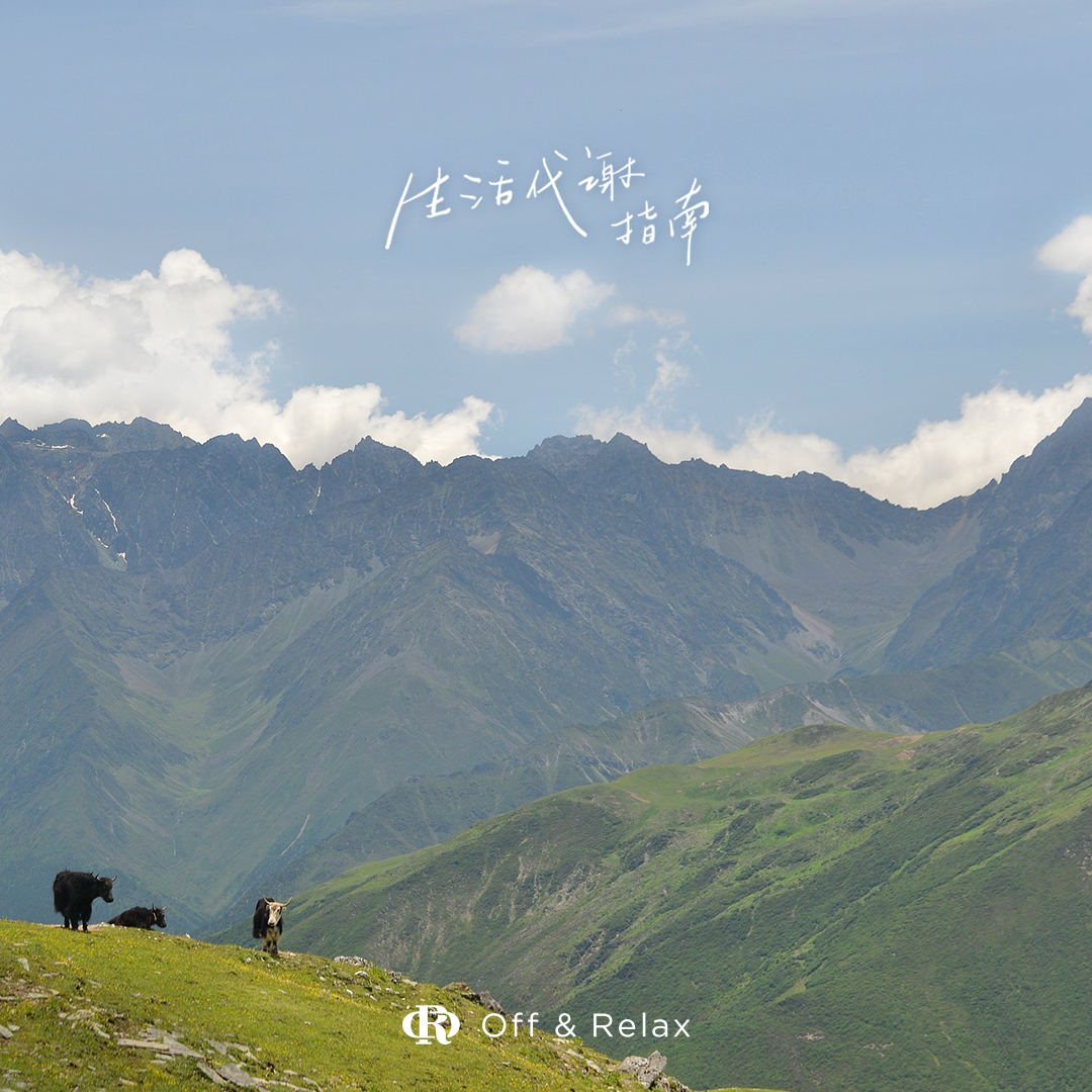 Vol.12 对话七堇年：与山野同频，找回生命的蓬松感 | 生活代谢指南 EP03 episode artwork