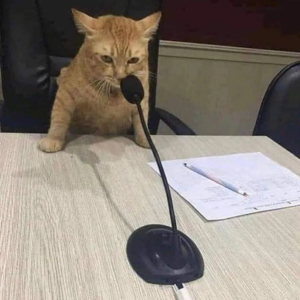 71. 都2025年了，我不允许任何人再抑制我的表达欲！