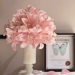 燕麦拿铁不加冰块