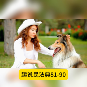 民法典81-90