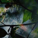 难过就亲吻小猫