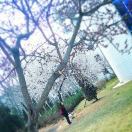 MOMO_ybxc