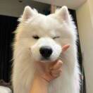 周京_8Mdo